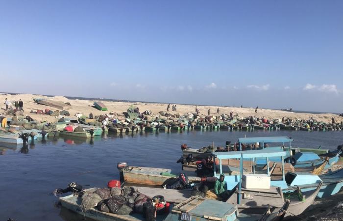 حزب العدل: البردويل جسر التاريخ والتطوير نحو مستقبل أخضر في سيناء .. بوابة المساء الاخباري