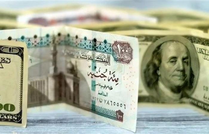 سعر الدولار في البنك المركزي اليوم السبت 14-12-2024 .. بوابة المساء الاخباري