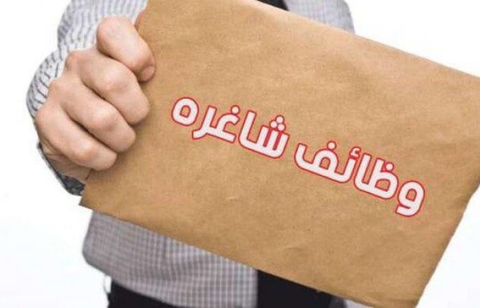 بمرتبات
      15
      ألف
      ريال..
      طريقة
      التقديم
      لوظائف
      السعودية - بوابة المساء الاخباري