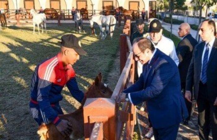 الرئيس
      السيسي
      يزور
      الأكاديمية
      العسكرية
      ونادي
      الفروسية
      بالعاصمة
      الإدارية
      (صور) - بوابة المساء الاخباري