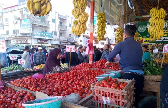 محافظ
      الدقهلية
      يتفقد
      شوارع
      ومنافذ
      البيع
      بمدينة
      بلقاس المساء الاخباري ..