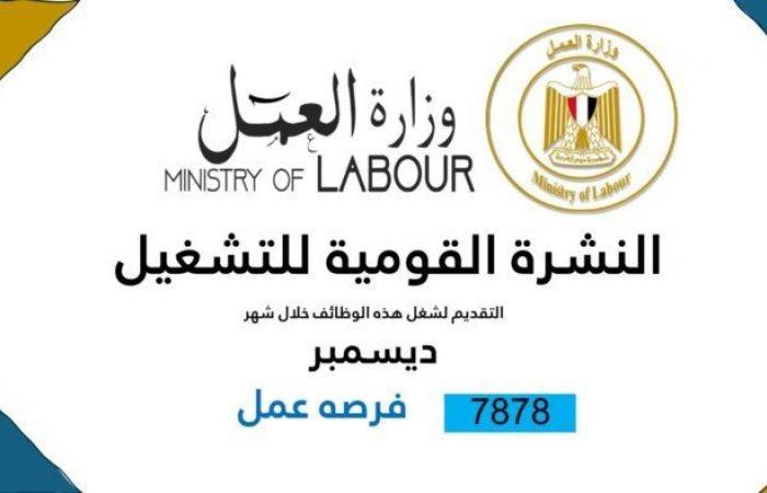 التقديم
      خلال
      ديسمبر
      2024..
      وزارة
      العمل
      توفر
      7878
      فُرصة
      عمل
      جديدة - بوابة المساء الاخباري