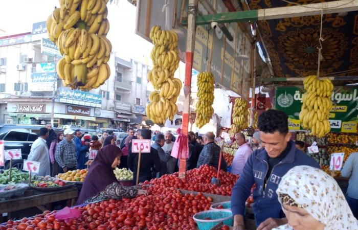 محافظ
      الدقهلية
      يتفقد
      شوارع
      ومنافذ
      البيع
      بمدينة
      بلقاس المساء الاخباري ..