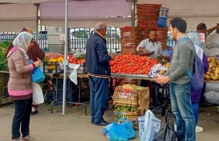 سوق اليوم الواحد ينطلق بالجمرك والمنتزه ثان في الإسكندرية .. بوابة المساء الاخباري