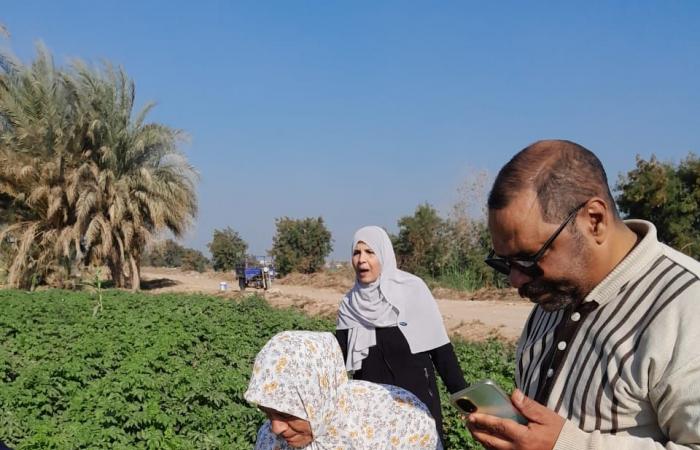 الزراعة:
      متابعة
      ميدانية
      لمحاصيل
      الشتاء
      بالفيوم
      لضمان
      الإنتاجية
      والأمن
      الغذائي