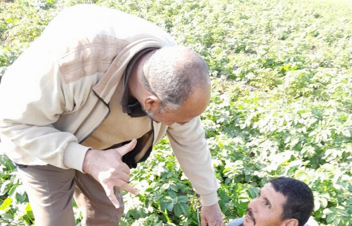 الزراعة:
      متابعة
      ميدانية
      لمحاصيل
      الشتاء
      بالفيوم
      لضمان
      الإنتاجية
      والأمن
      الغذائي