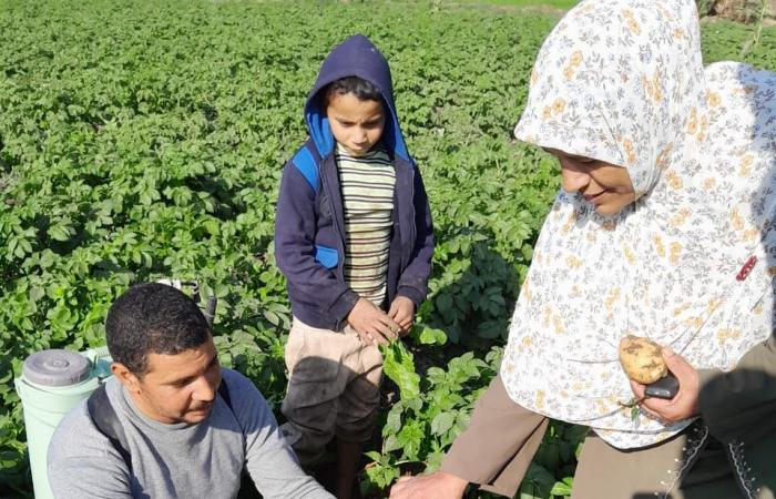 الزراعة:
      متابعة
      ميدانية
      لمحاصيل
      الشتاء
      بالفيوم
      لضمان
      الإنتاجية
      والأمن
      الغذائي