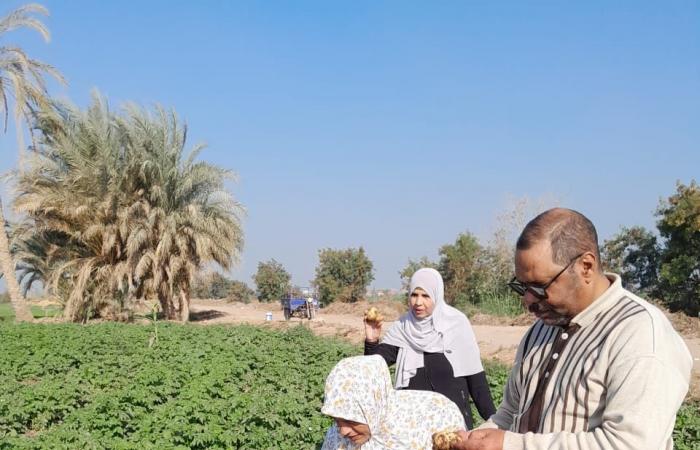 الزراعة:
      متابعة
      ميدانية
      لمحاصيل
      الشتاء
      بالفيوم
      لضمان
      الإنتاجية
      والأمن
      الغذائي