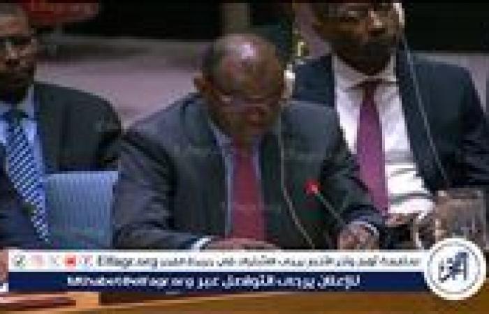 السودان
      يطلب
      من
      الولايات
      المتحدة
      الضغط
      على
      الإمارات
      بشأن
      الدعم
      السريع