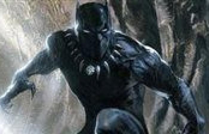 رسميا..
      التجهيز
      للجزء
      الثالث
      من
      "Black
      Panther"