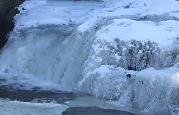 منظر مذهل بتركيا.. تجمد جزئي لبحيرة في فان يخلق لوحة طبيعية خلابة.. فيديو .. بوابة المساء الاخباري