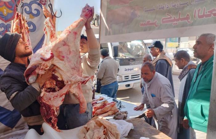 290 جنيهاً للكيلو .. طرح لحوم للجمهور بساحل سليم .. بوابة المساء الاخباري