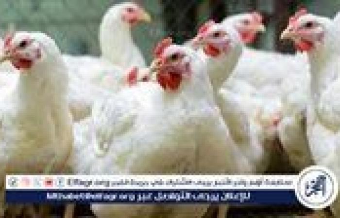 بورصة
      الدواجن..
      أسعار
      الفراخ
      البيضاء
      اليوم
      الاحد
      22-12-2024
      في
      قنا