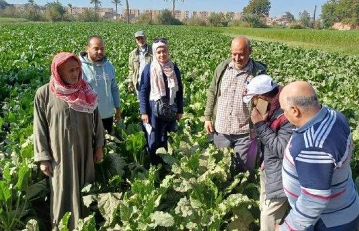 البحوث الزراعية يستعرض حصاد أنشطة مبادرة المراكز الإرشادية الزراعية.. تفاصيل .. بوابة المساء الاخباري