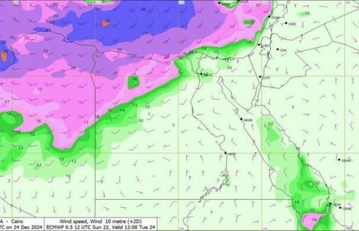 درجة
      الحرارة
      الآن
      في
      مصر..
      موجة
      برد
      شديدة
      تضرب
      المحافظات - بوابة المساء الاخباري