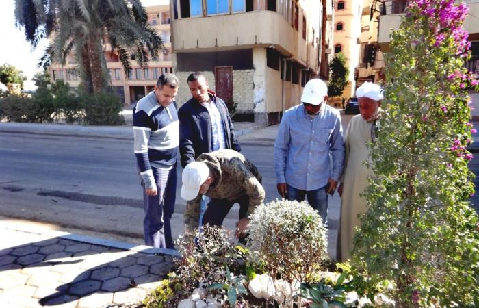 تكثيف أعمال المساحات الخضراء بشارع سلمي سليم بالأقصر .. بوابة المساء الاخباري