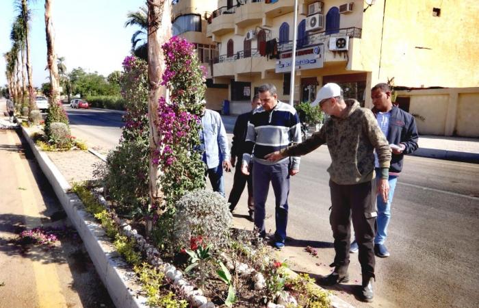 تكثيف أعمال المساحات الخضراء بشارع سلمي سليم بالأقصر .. بوابة المساء الاخباري