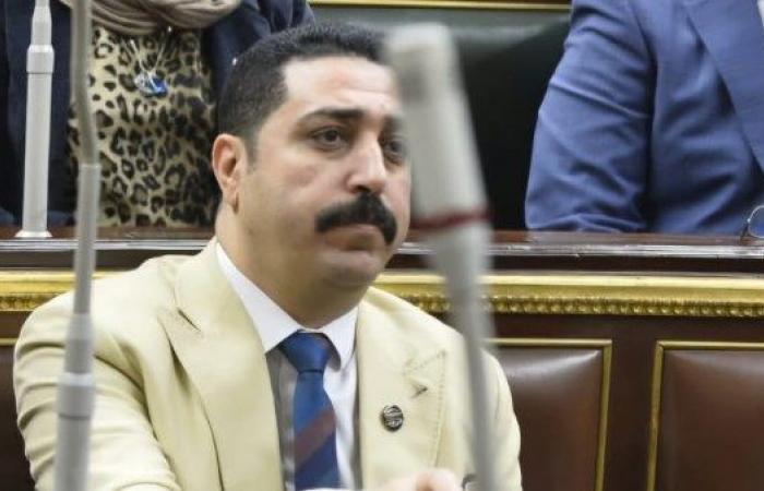 برلماني: هيكلة مصانع الغزل والنسيج بالمحلة تمثل عودة لأكبر القلاع الصناعية بمصر .. بوابة المساء الاخباري