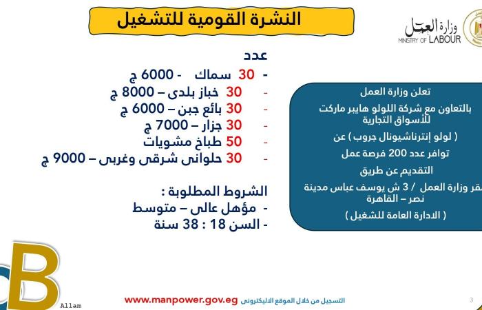 3215 فُرصة عمل جديدة في 8 مُحافظات والتقديم خلال يناير 2025.. اعرف التفاصيل .. بوابة المساء الاخباري