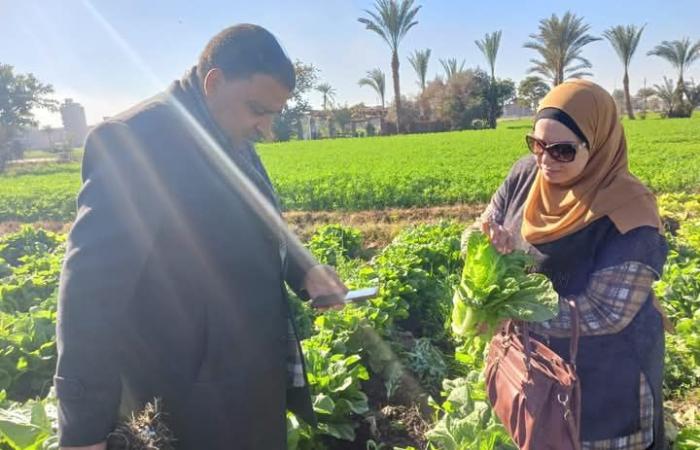 فريق
      الإرشادي
      البحثي
      بالفيوم
      يقوم
      بزيارة
      حقول
      محاصيل
      الطماطم
      والفول
      والخس