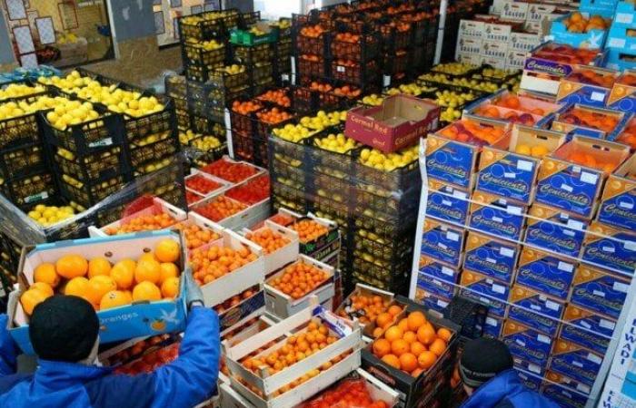 بنسبة
      نمو
      17%..
      صادرات
      الصناعات
      الغذائية
      تسجل
      5.5
      مليار
      في
      ‏‏2024‏ - بوابة المساء الاخباري