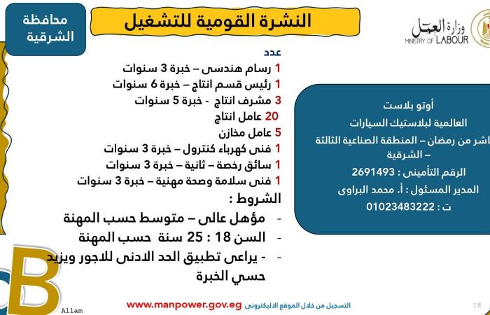 3215 فُرصة عمل جديدة في 8 مُحافظات والتقديم خلال يناير 2025.. اعرف التفاصيل .. بوابة المساء الاخباري