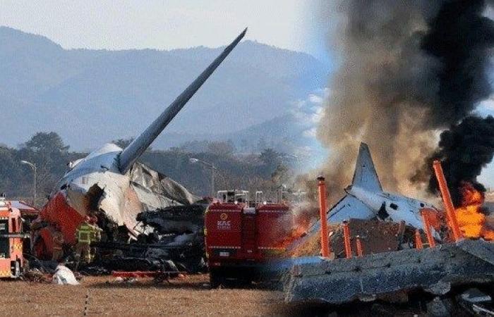 خبير طيران مدني: غموض كبير حول حادث تحطم طائرة كوريا الجنوبية .. بوابة المساء الاخباري