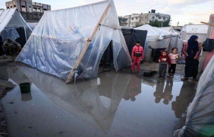 تجمدوا
      حتى
      الموت..
      البرد
      يودي
      بحياة
      5
      أطفال
      رضع
      في
      غزة - بوابة المساء الاخباري