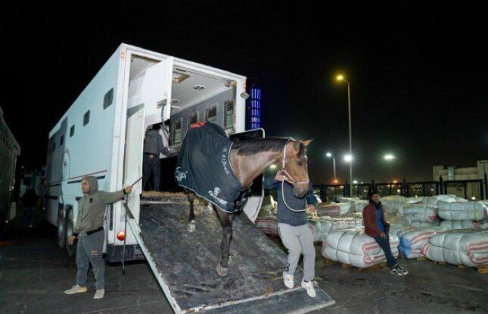 مصر
      للطيران
      تنقل
      الخيول
      المشاركة
      في
      بطولة
      قطر
      الدولية
      للفروسية
      علي
      طائرات
      الشحن
      الجوي
      (صور) - بوابة المساء الاخباري