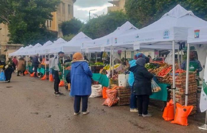 سلع
      غذائية
      بأسعار
      مخفضة..
      أماكن
      سوق
      اليوم
      الواحد
      في
      القاهرة
      والجيزة - بوابة المساء الاخباري