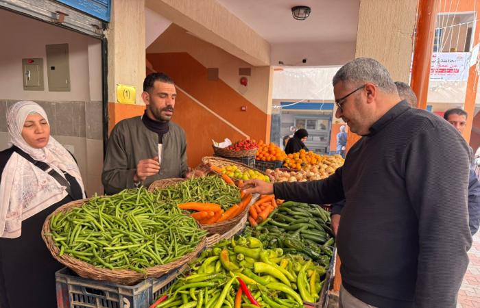 بالصور..
      محافظ
      الجيزة:
      معرض
      للسلع
      الأساسية
      والخضراوات
      والفواكه
      بالطالبية
      بأسعار
      مناسبة المساء الاخباري ..