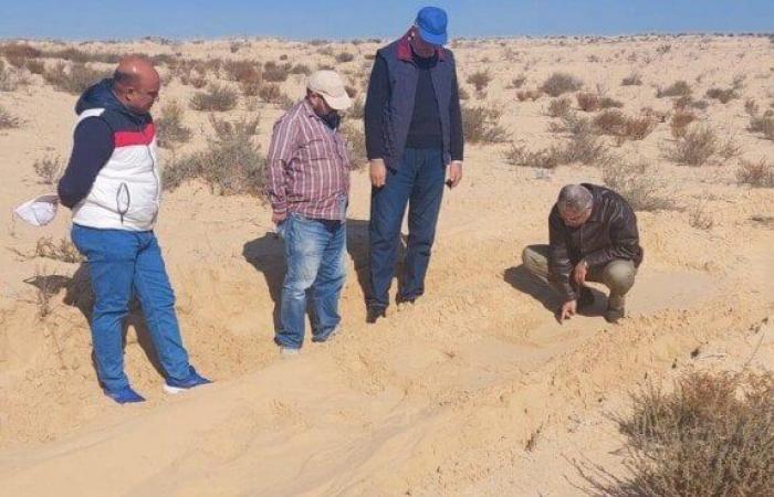 بحوث
      الصحراء
      يحصر
      ويصنف
      الأراضي
      الزراعية
      بمنطقة
      بئر
      العبد - بوابة المساء الاخباري