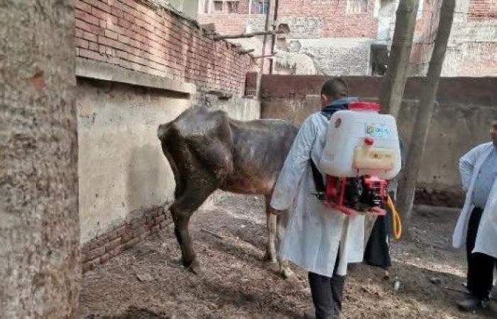 بيطري الشرقية يُنظم قافلة طبية مجانية بقرية ميت العز بفاقوس .. بوابة المساء الاخباري