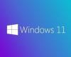 ويندوز 11 يتفوق على windows 10 ويصبح الأكثر استخداماً للألعاب المحمولة - المساء الاخباري