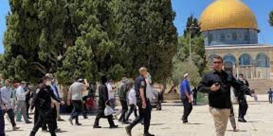 الفجر سبورت .. مستوطنون
      يقتحمون
      باحات
      المسجد
      الأقصى
      وسط
      حماية
      قوات
      الاحتلال